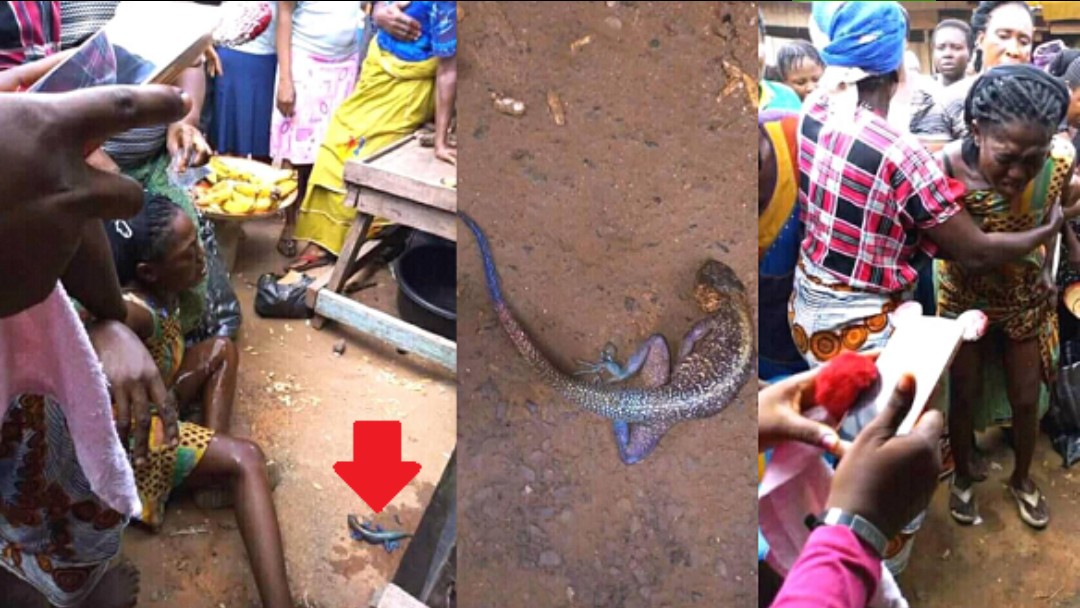 Unbelievable: Nigerian Woman Delivers A Lizard At Omoku Market In ...